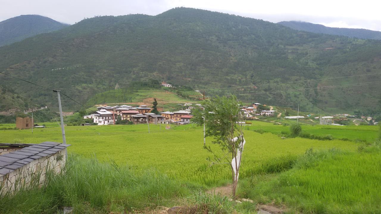 Chimi Lhakhang Village Homestay Punakha Exterior foto