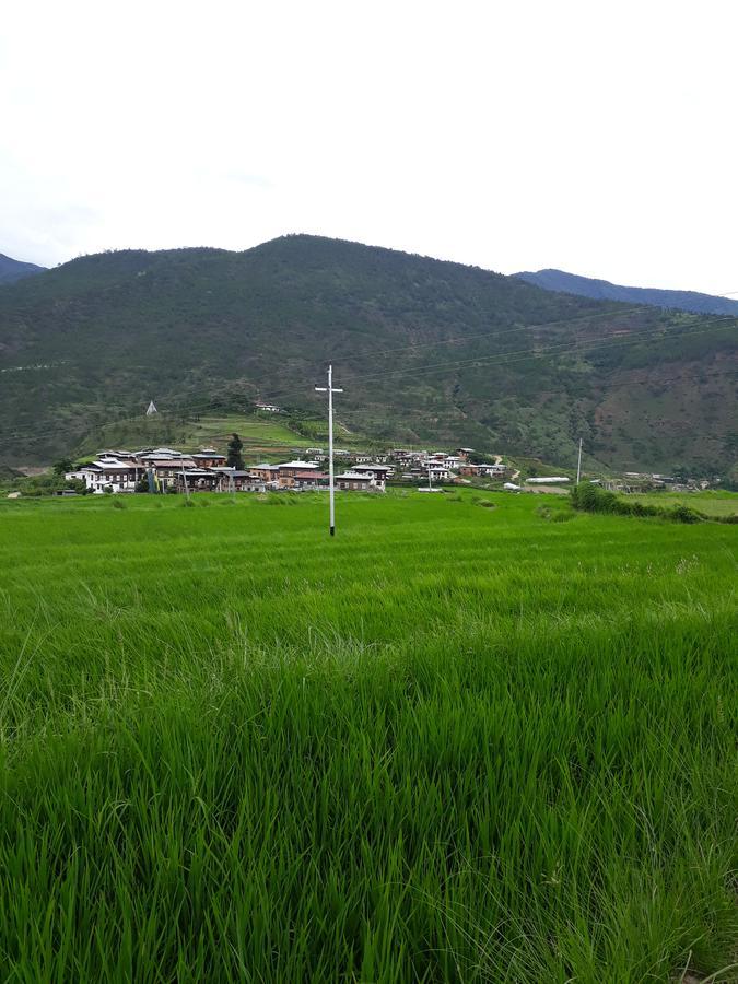 Chimi Lhakhang Village Homestay Punakha Exterior foto